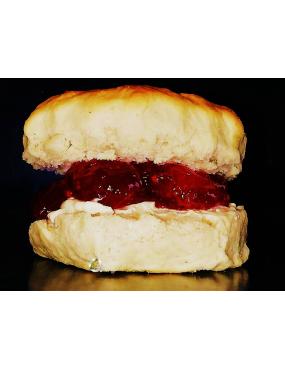 SCONE PLAIN 